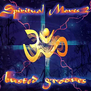 Various Artists Spiritual Moves 2: Busted Grooves