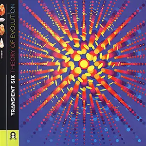 Various Artists Transient 6