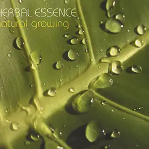 Herbal Essence Natural Growing