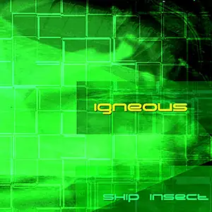 Igneous Skip Insect