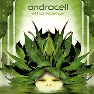Androcell Efflorescence