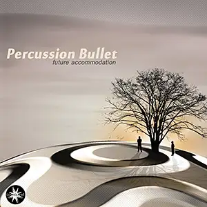 Percussion Bullet Future Accommodation
