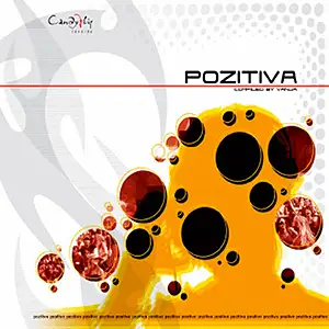Various Artists Pozitiva