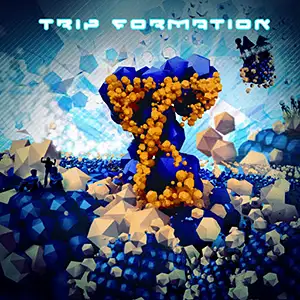 Various Artists Trip Formation